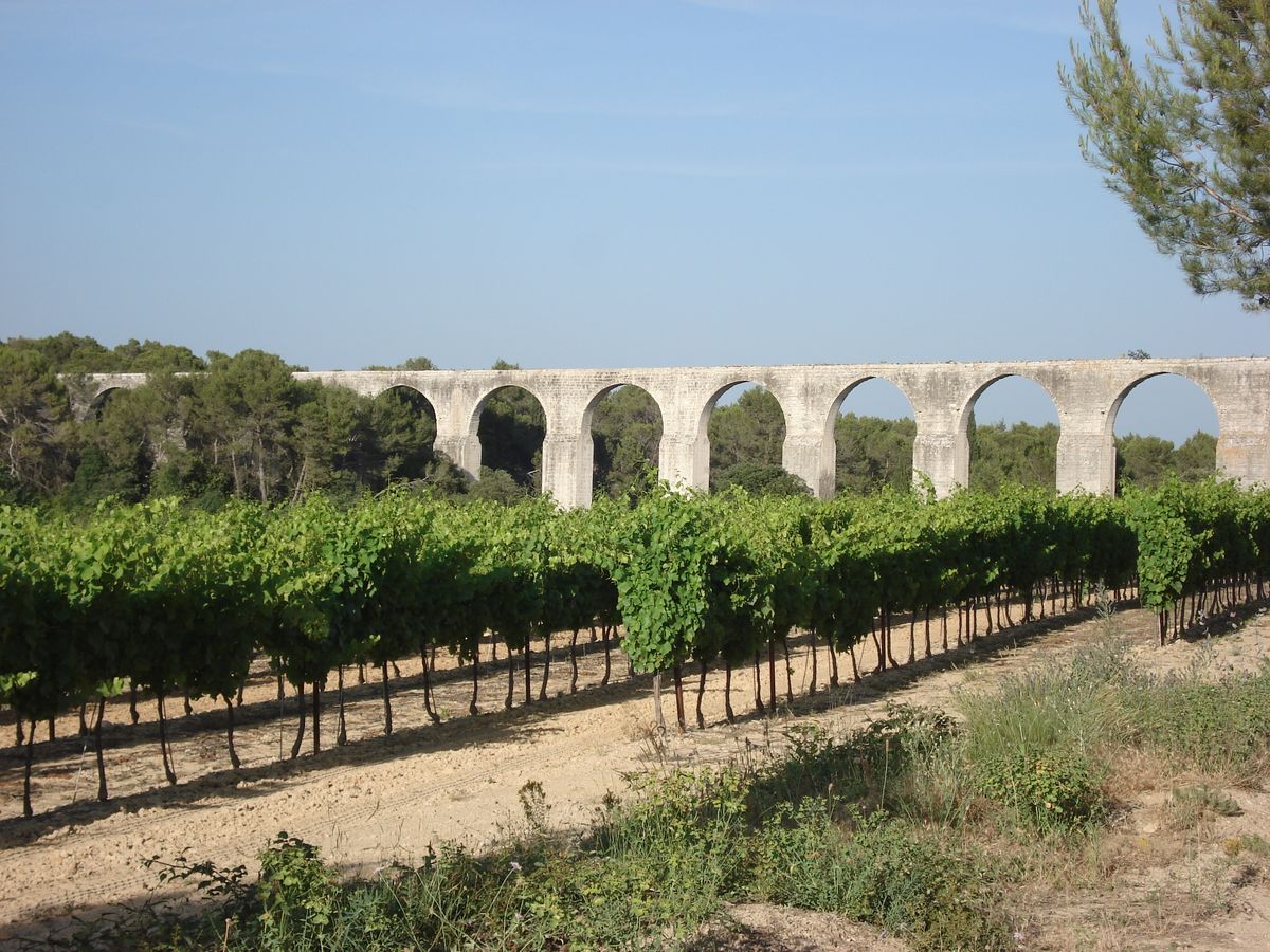 aquaduct te midden van druivelaars