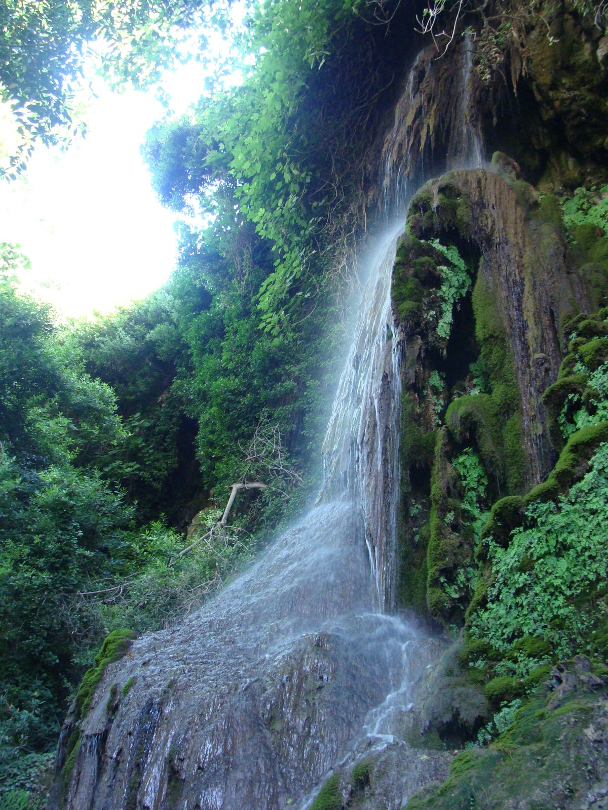 Renouveau d'une eau jaillissant de la roche