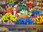 Dutch Wooden Tullips