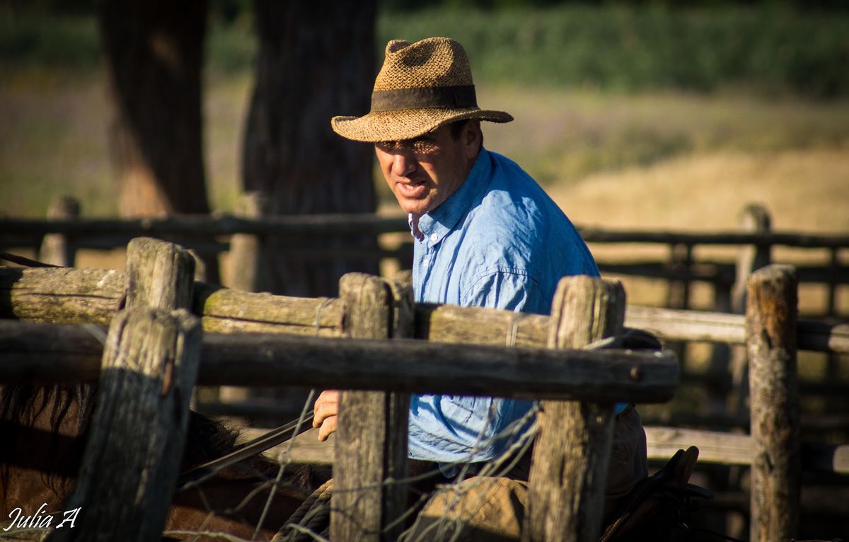 the Italian cow-boy