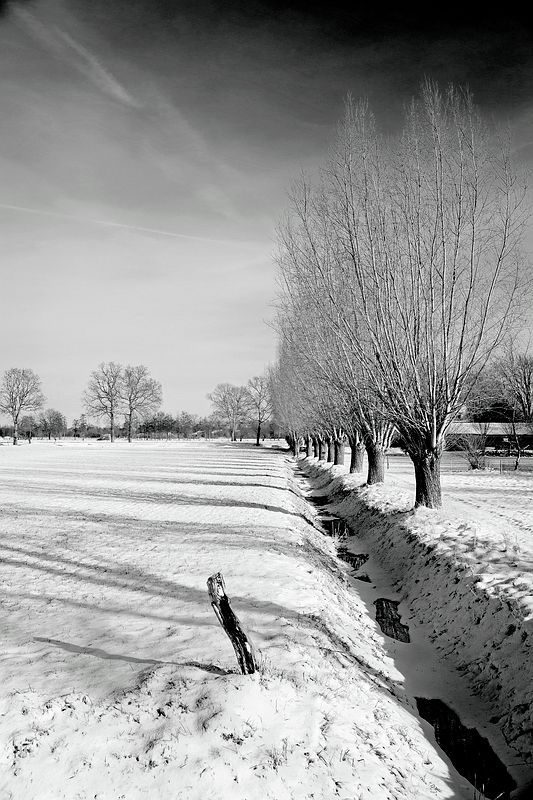 Winterlandschap