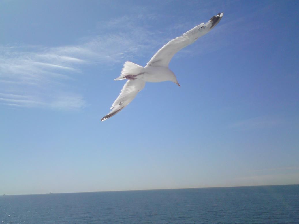 Taken on the English Channel