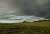 This picture was taken while on photo walk in Seven Sisters Country Park