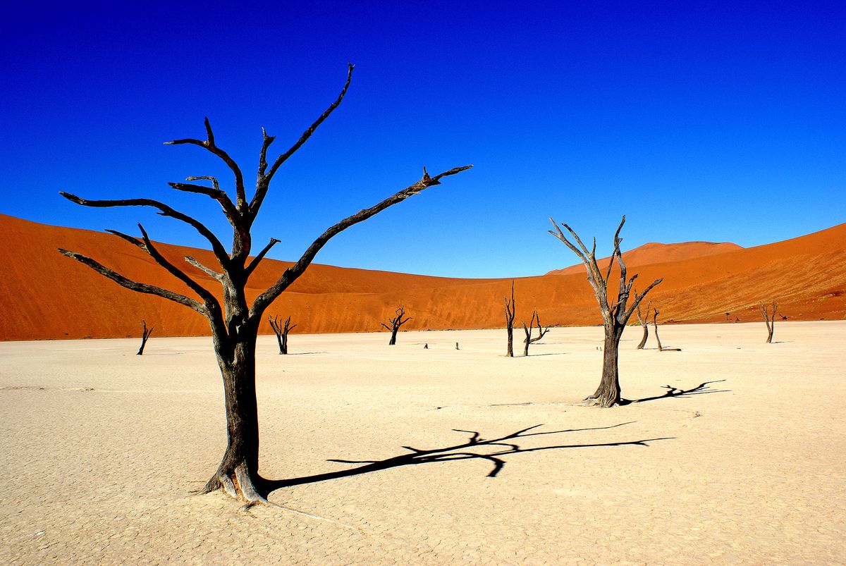 Loic Brohard. This photo was taken in Namibia. Sossusvlei is a salt pan in the central Namib Desert. Fed by the Tsauchab River, it is known for the high, red sand dunes which surround it, forming a major and impressive sand sea. More precisely this photo shows Dead Vlei, a clay pan surrounded by the highest sand dunes in the world, some reaching up to 300m, which rest on a sandstone terrace.