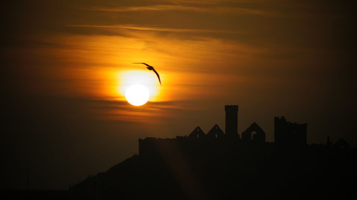 This was taken as the sun was setting in Peel on the Isle of Man 25/03/12, took me some time to get the gull there though!