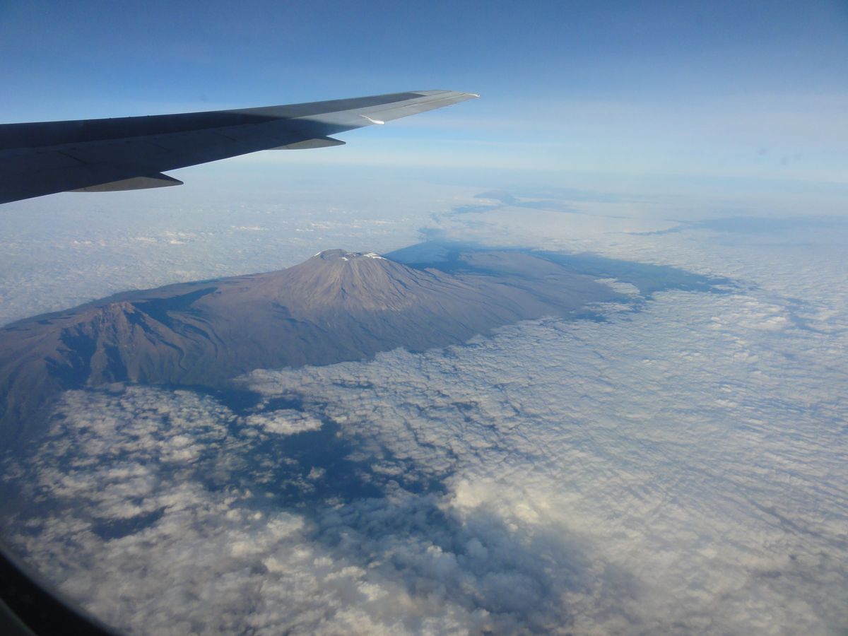 kilimanjaro