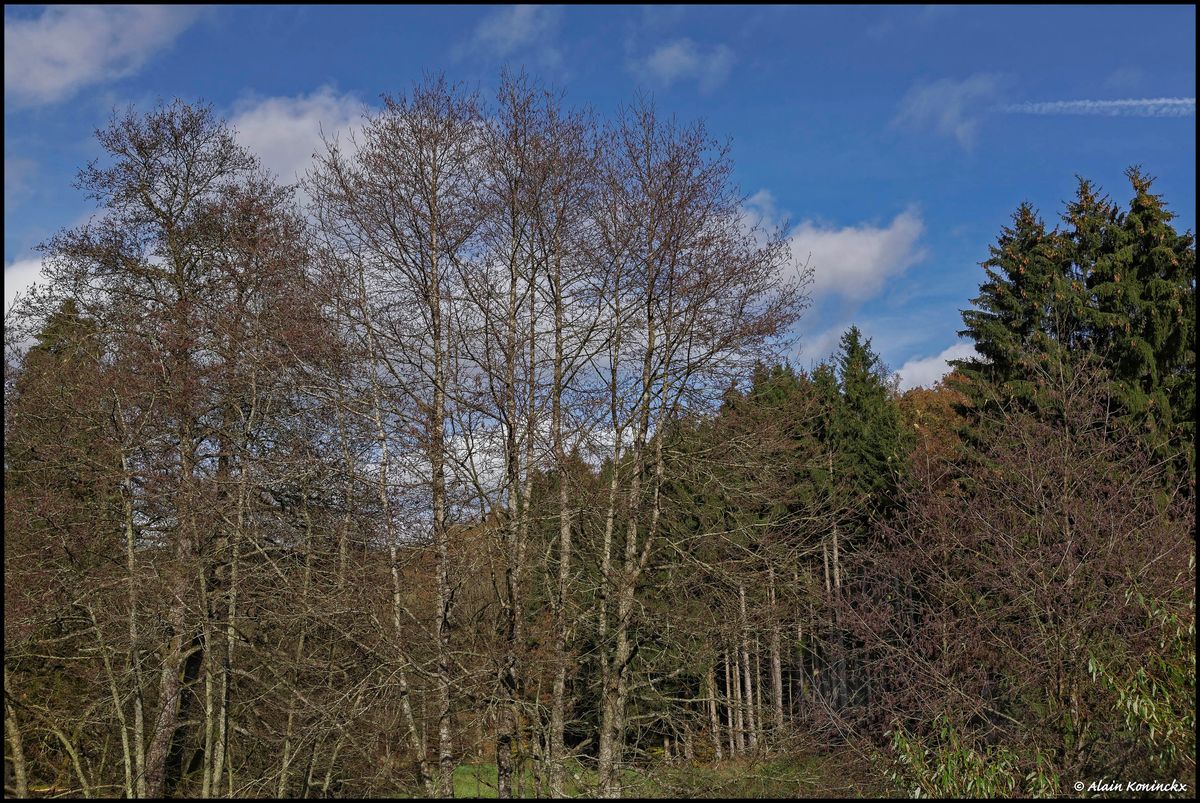 Pont des Villettes