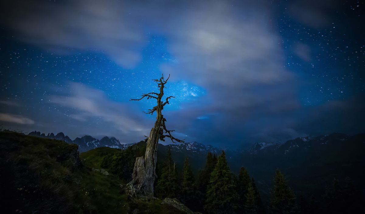 the last tree in frond of the milkyway and the bad clouds ;-/