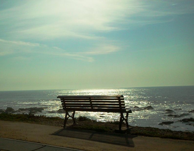 A bench facing the sea - Vila Praia de Ancora / Portugal