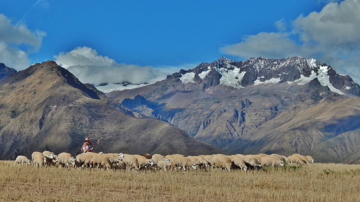 Taken in the Sacred Valley, Peru, near Moras.