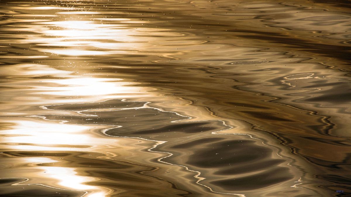 Een gouden gloed over de  wadden