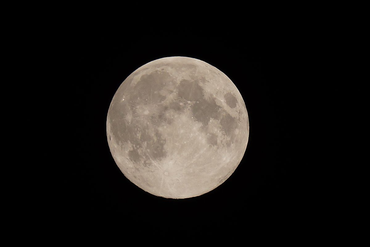 Bombers Moon?
