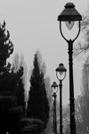 Public (ujhvfr)