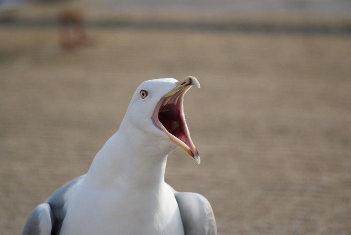 23945