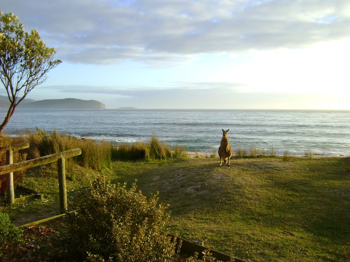 I took this picture at 6 am on an amazing beach in New South Wales - Australia.