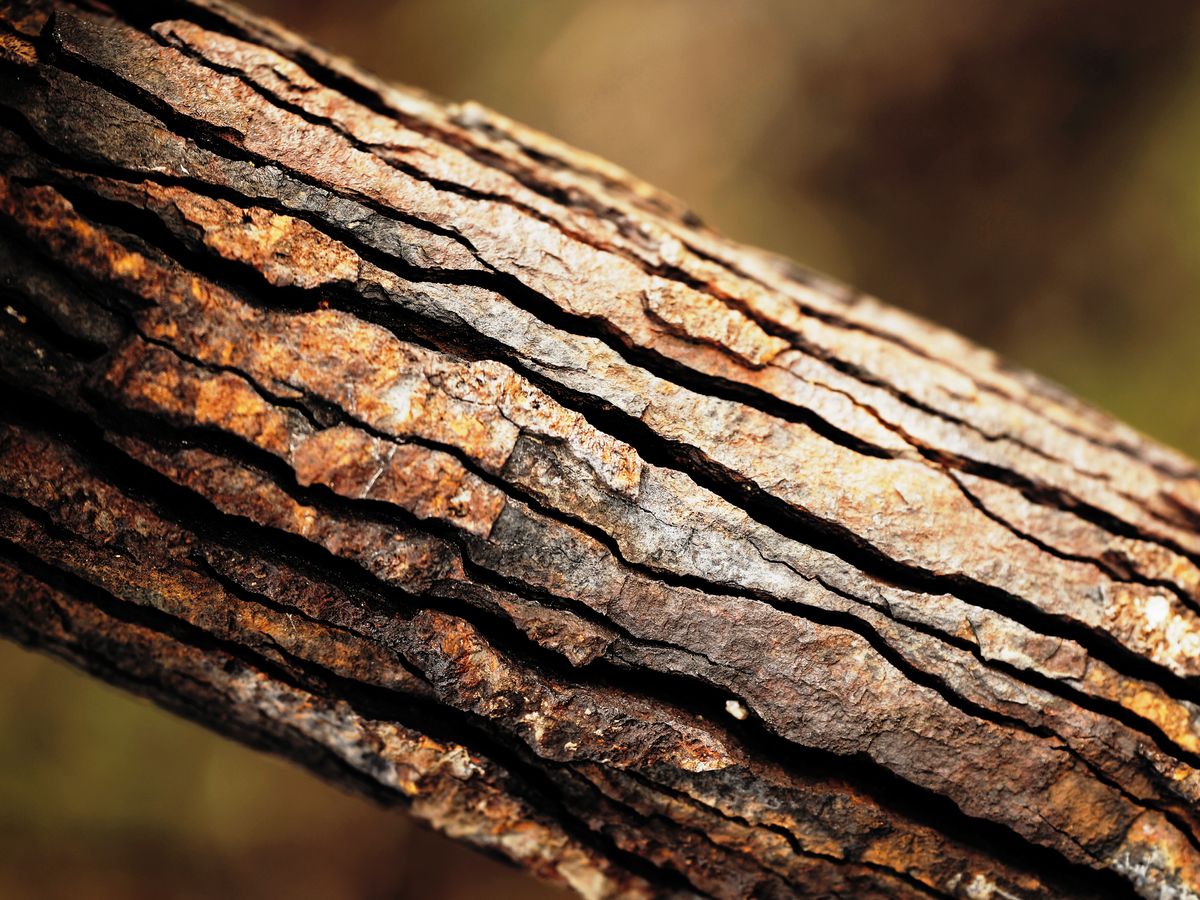 image of old rusted steel boat part