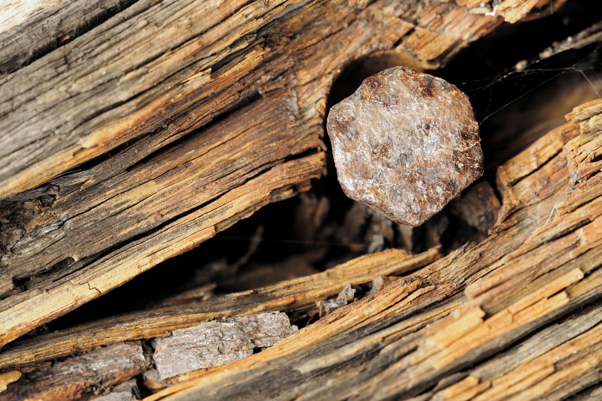 old rusted screw and aged plank of wood