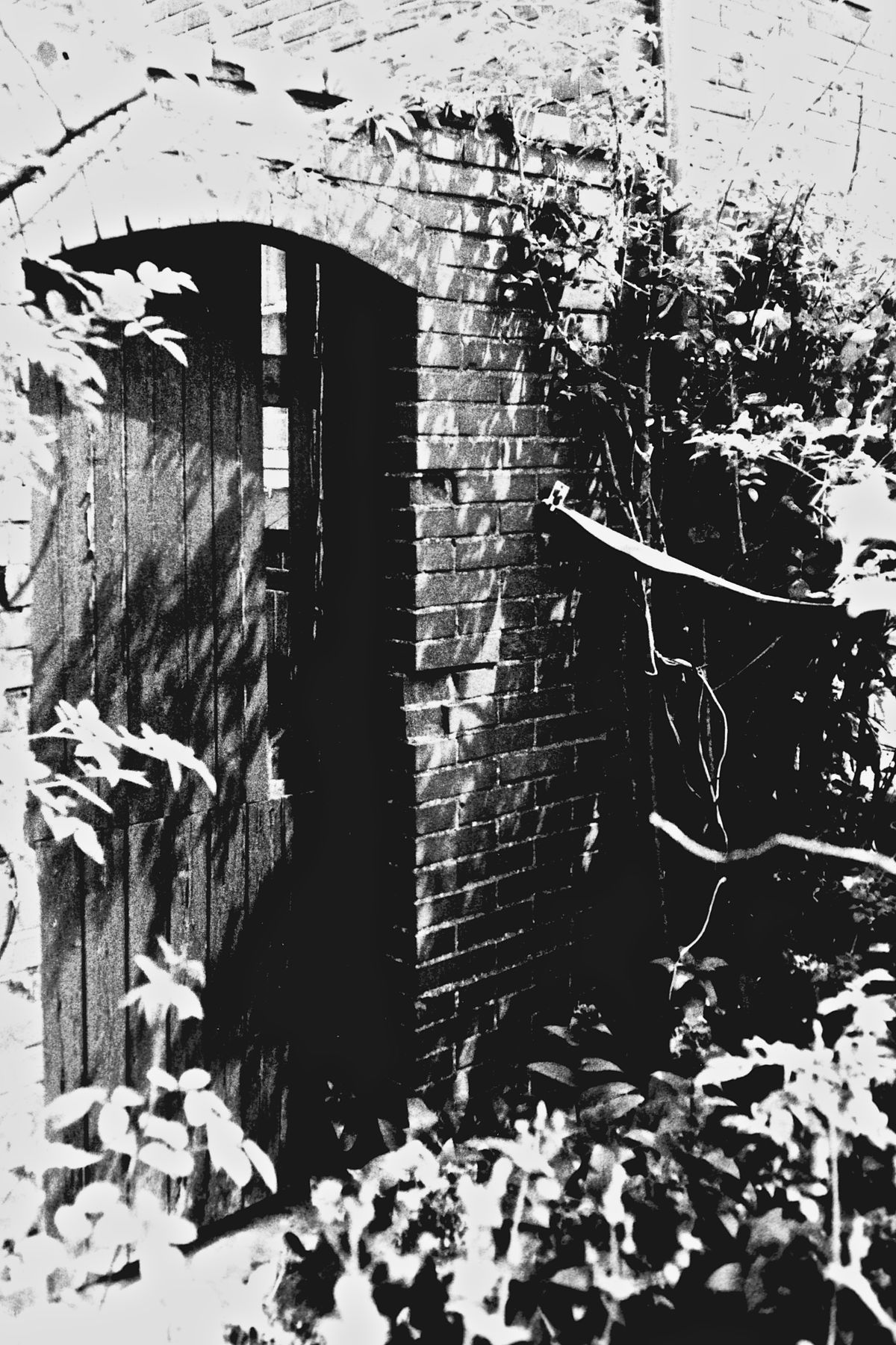 Wieder ein ganz altes Bild von mir: Verwunschener Eingang 1985