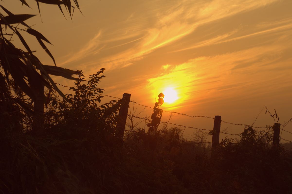 sun sets in Bangladesh