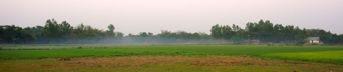 Village Fog