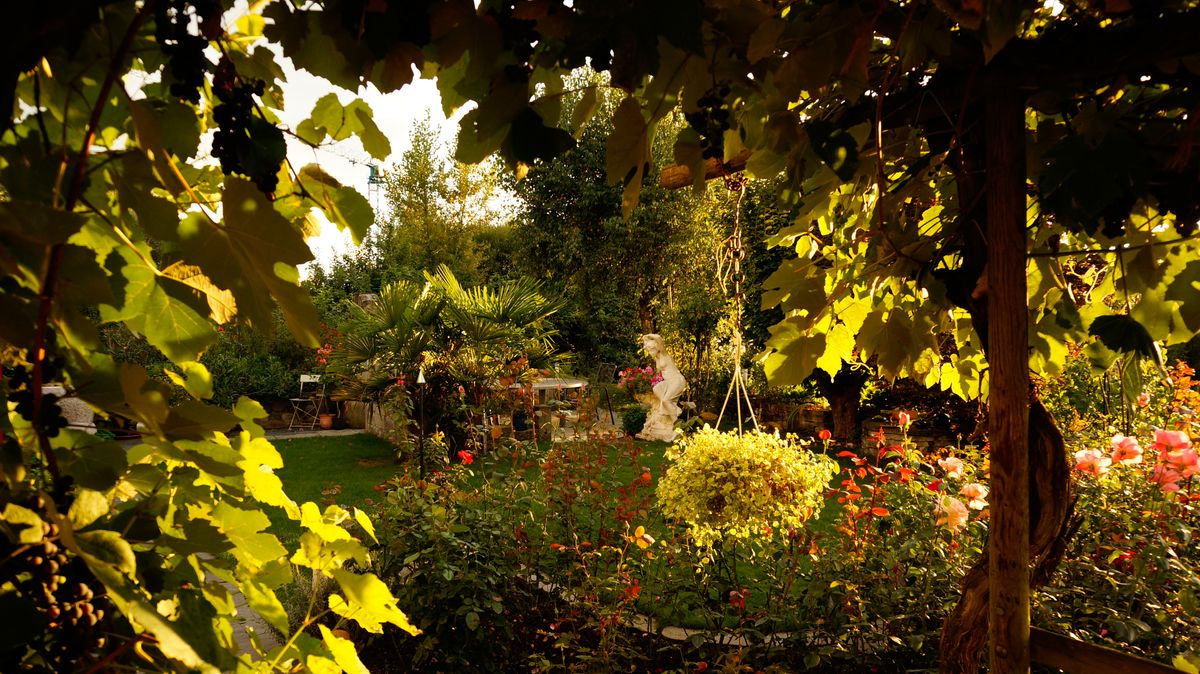 Blick von der Trauben Pergola in den Garten