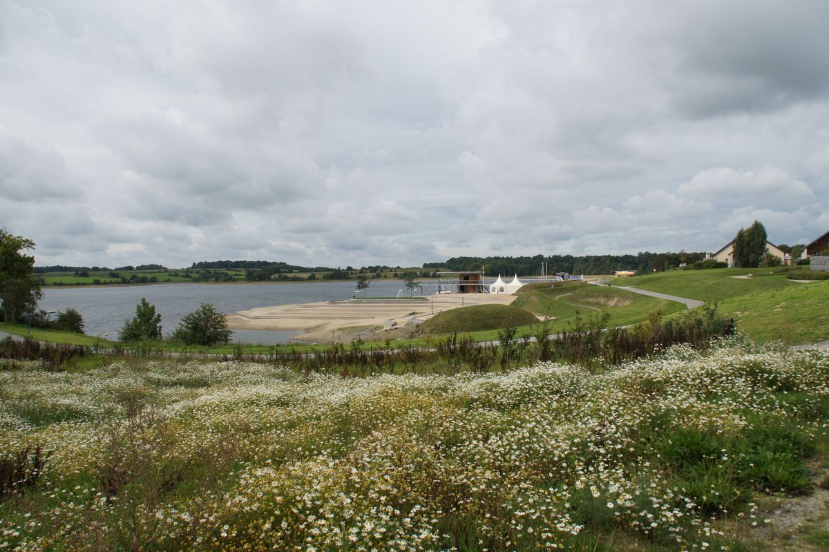 Ik hou van de natuur (wolkenstructuur en de kleur van de bloemen in het gras