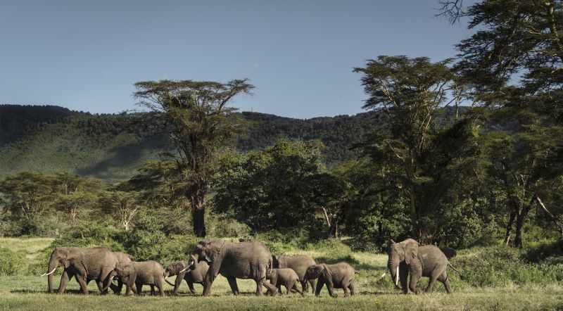 CS-040517-ngorongoro-013_blog.jpg