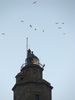 Faro de La Coruña