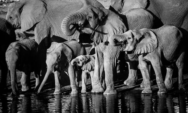 ©Laurent Baheux - Taken with α9 & FE 100-400mm à monture E