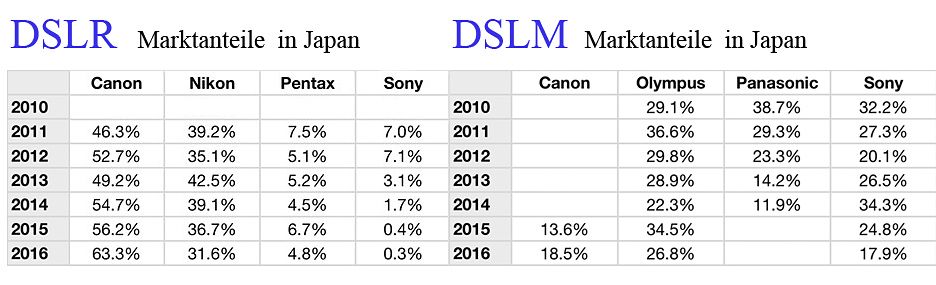 DSLR vs DSLM.jpg