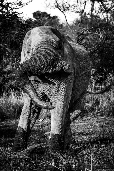 ©Laurent Baheux (shooted with A7RIII)