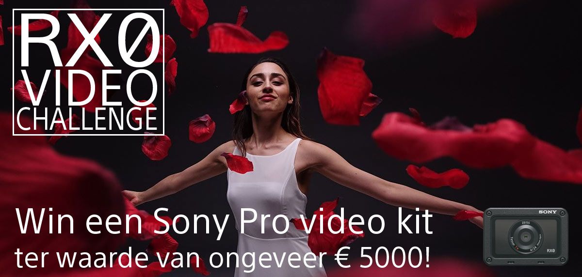 Header.jpg