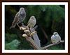P1340978  Gut mit.JPG
