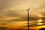 sonnenuntergang bei uns hier