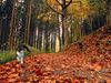 Herbst und Urlaub.jpg
