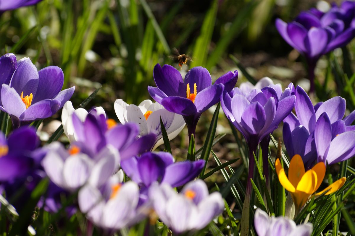 Der Frühling hält Einzug und das Leben erwacht.