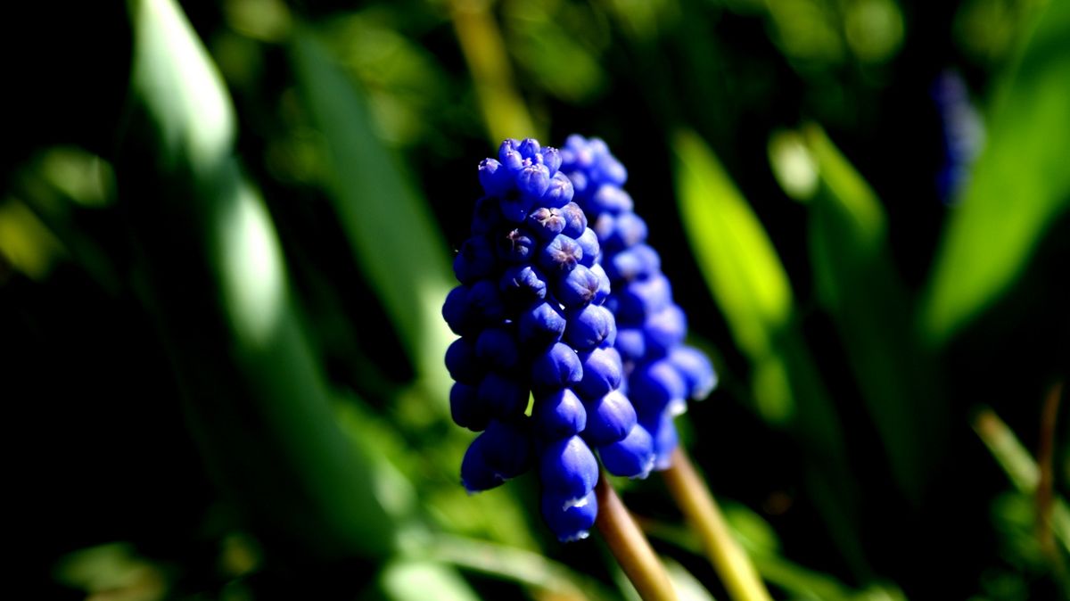 28345