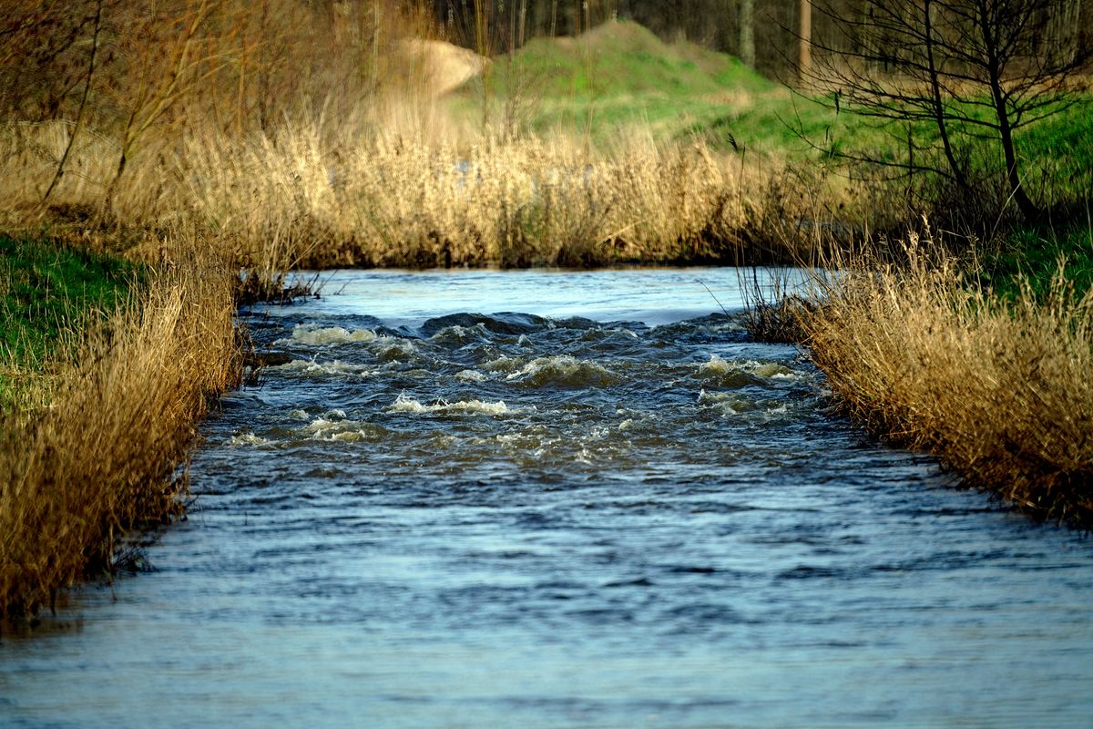 Das Sturmtief "Sabine" zieht über Deutschland hinweg, zum Glück waren in Emsland nur geringe Schäden zu verzeichnen. Sabine hat nicht nur Wind gebracht sondern auch Regen, dieses Wasser fließt jetzt nutzlos einfach ab. Früher war hier ein Stau installiert um das Wasser kontrolliert abfließen zu lassen, so hatte man seinerzeit auch in Sommer ausreichend Wasser in diesem Fließgewässer Namens "Giegel AA" in Schapen / Emsland. ( In Sommer 2019 war dieser Fluss fast völlig ausgetrocknet ! )