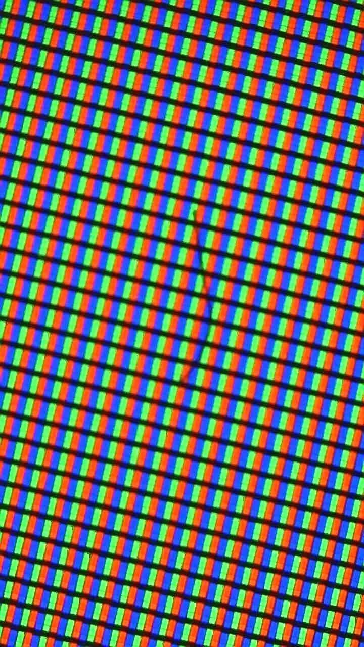 49XF8505 Fussel/Haar 2