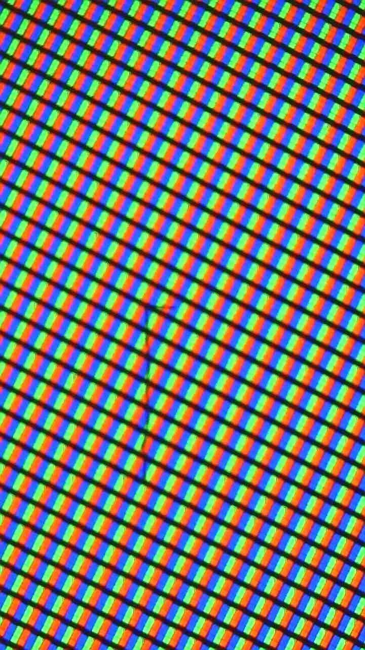 49XF8505 Fussel/Haar 3