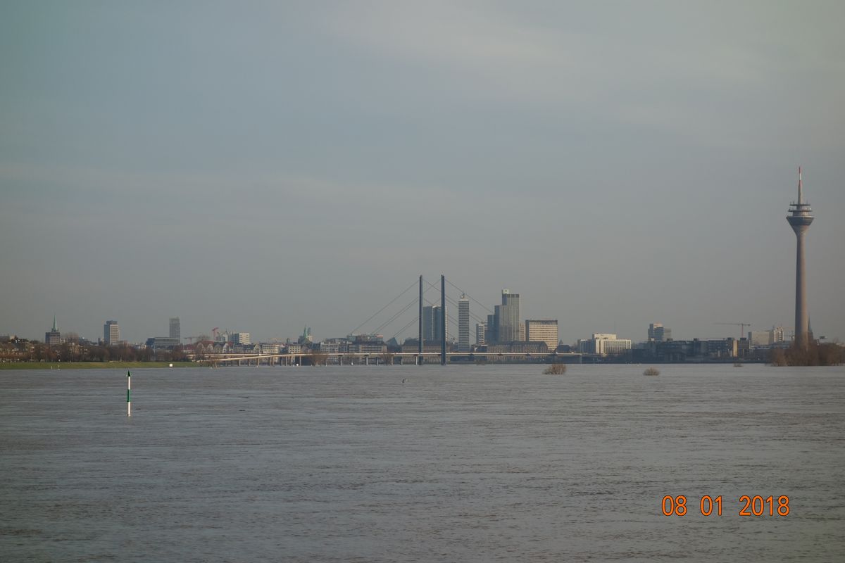 Hochwasser Rhein