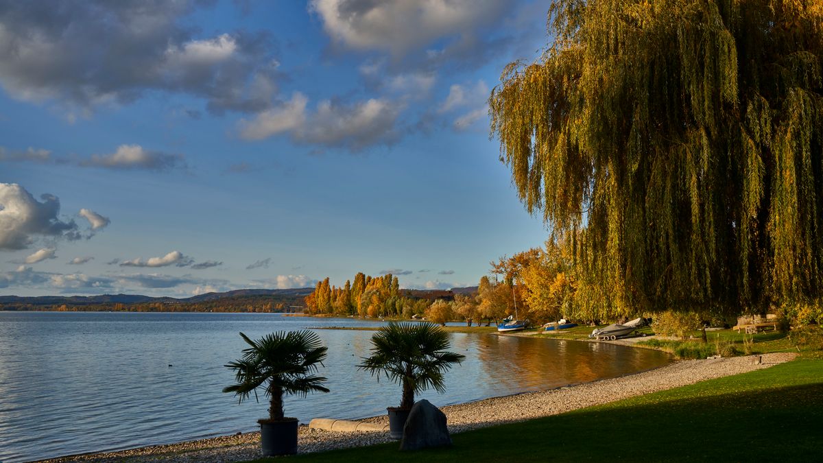 Westufer Insel Reichenau