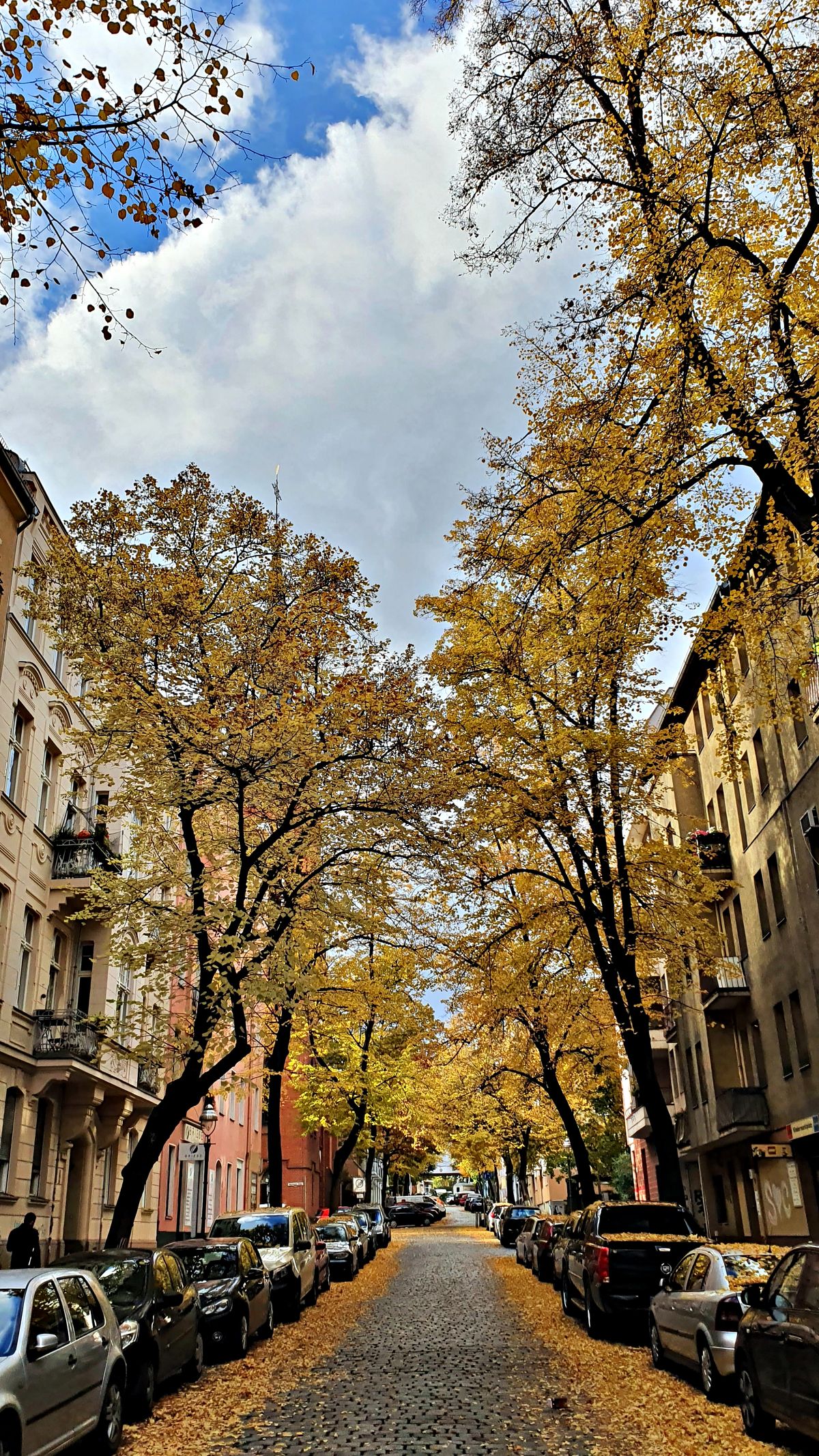 Herbst in Berlin.jpg