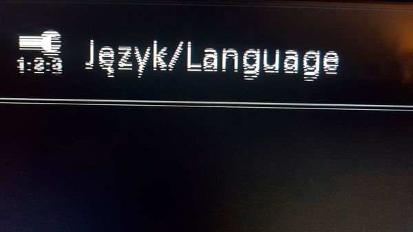 125313140_2463499347292907_7124539489924927336_n.jpg