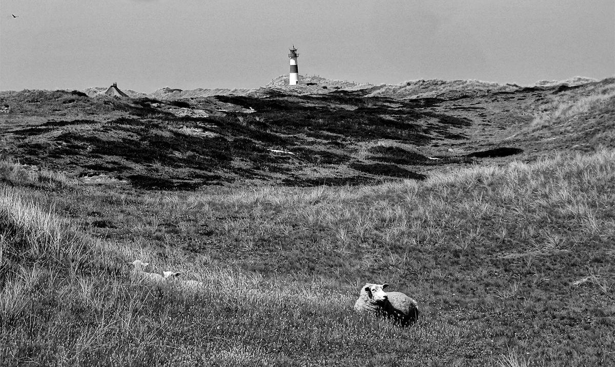 Sylt- einmal anders gesehen.