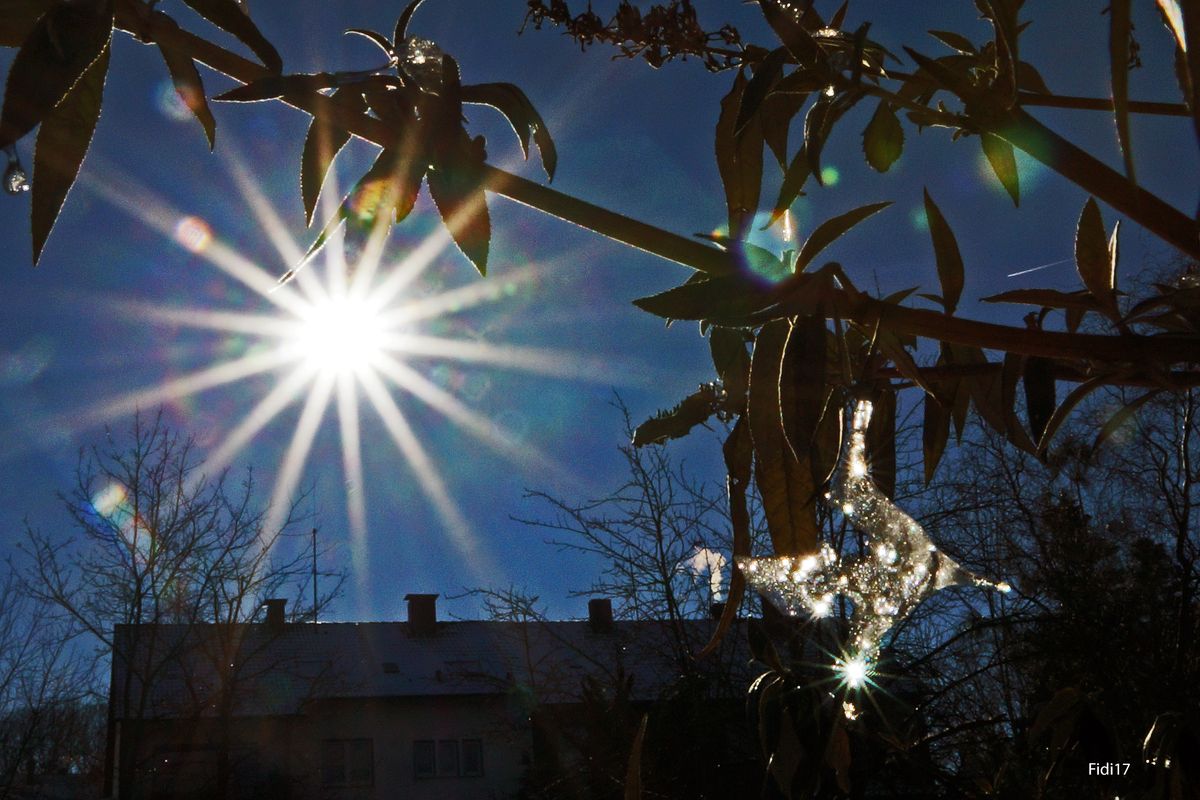 Ausser der Sonne ist noch jemand am Himmel