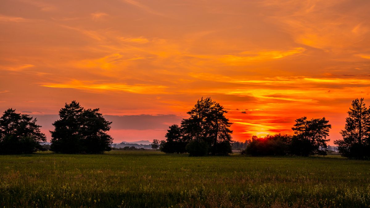 Sonnenuntergang im Ried. Im Hintergrund etwas links, sind die beiden Hegau Berge "Hohentwiel " und "Hohenstoffeln" zu sehen.