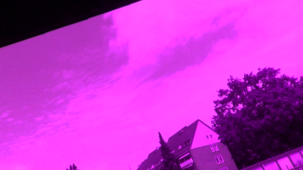 Screenshot from C0002.MP4 - 2.png Screenshot from C0002.MP4 - 2.png