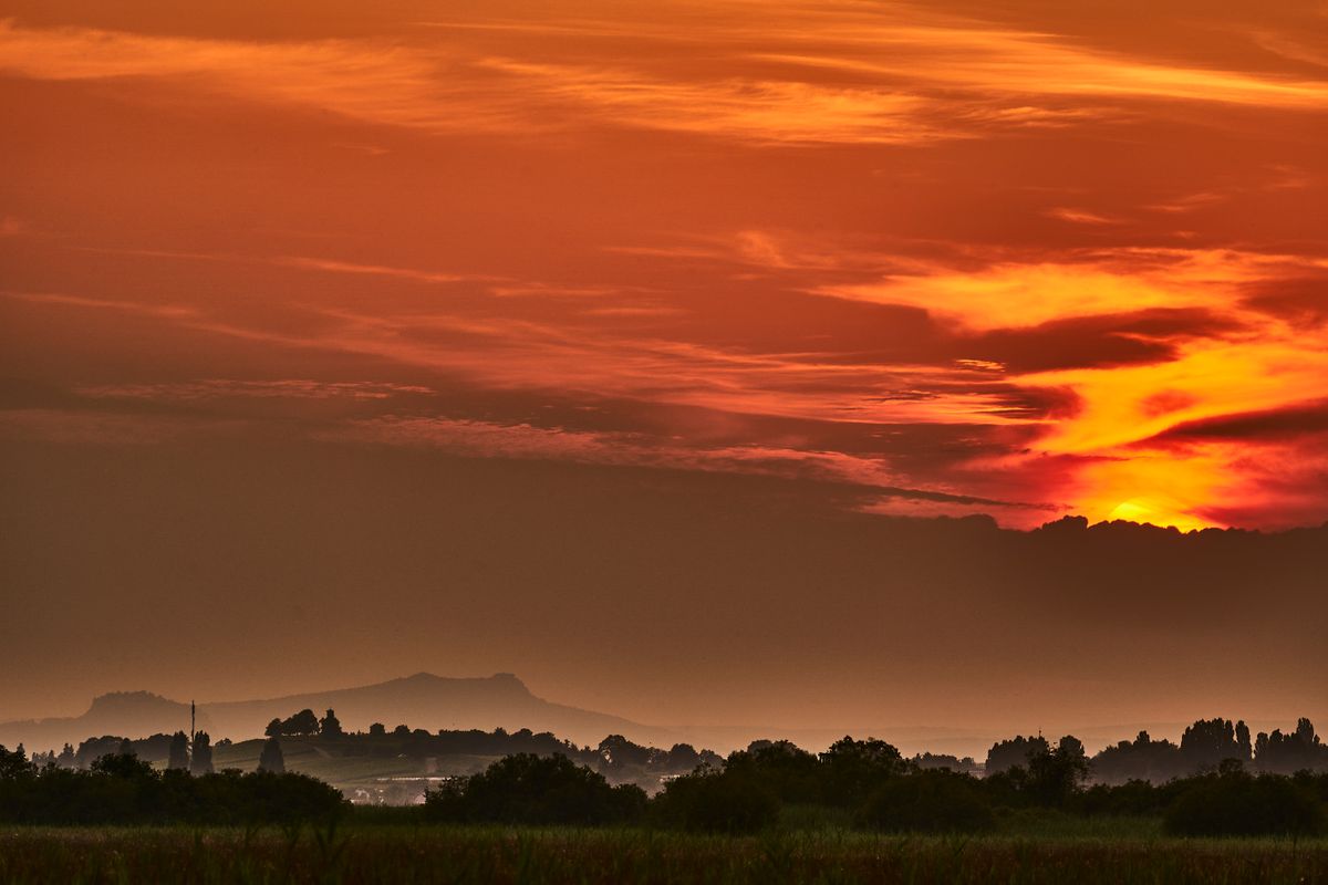 Sonnenuntergang im Ried