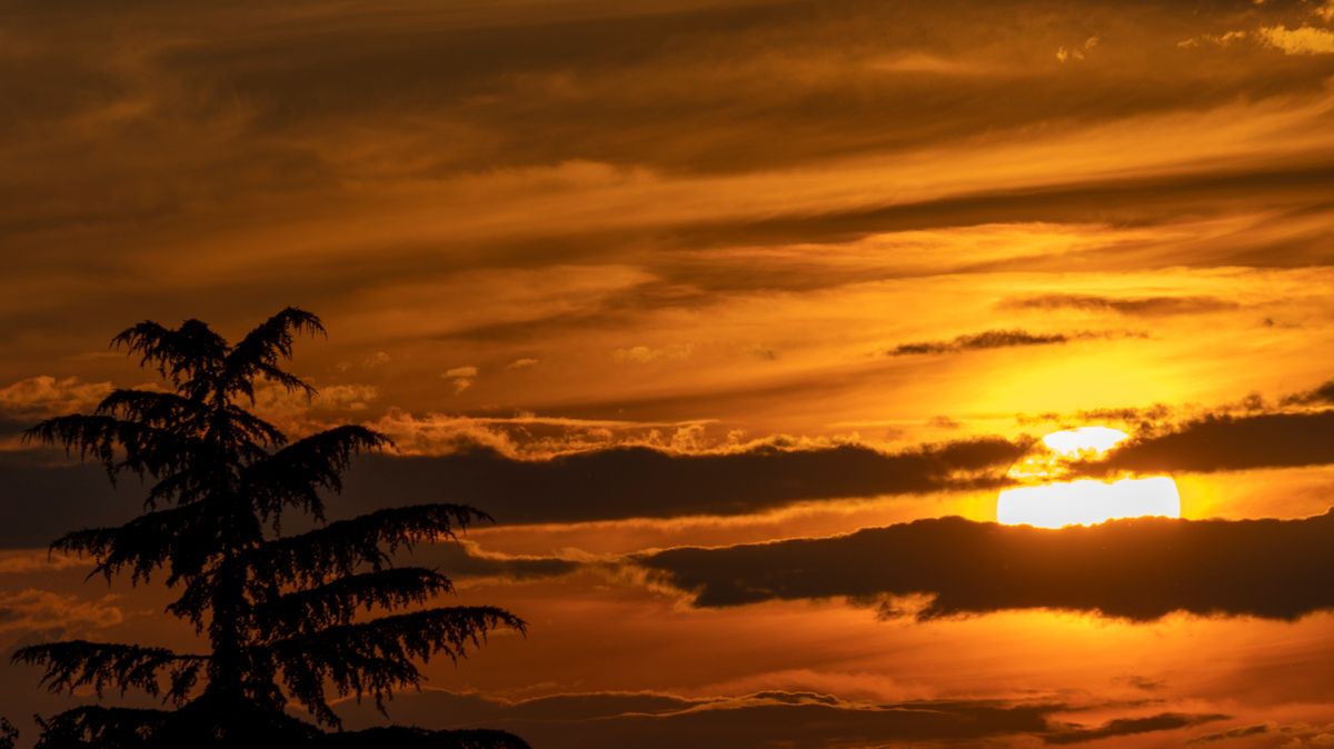 Sonnenuntergänge in Konstanz